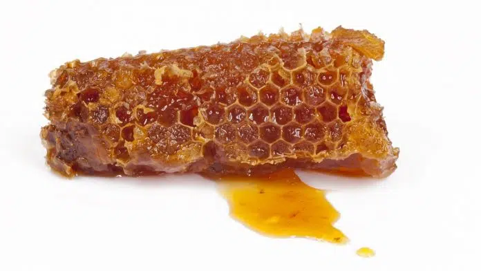 Quels sont les bienfaits de la propolis ?