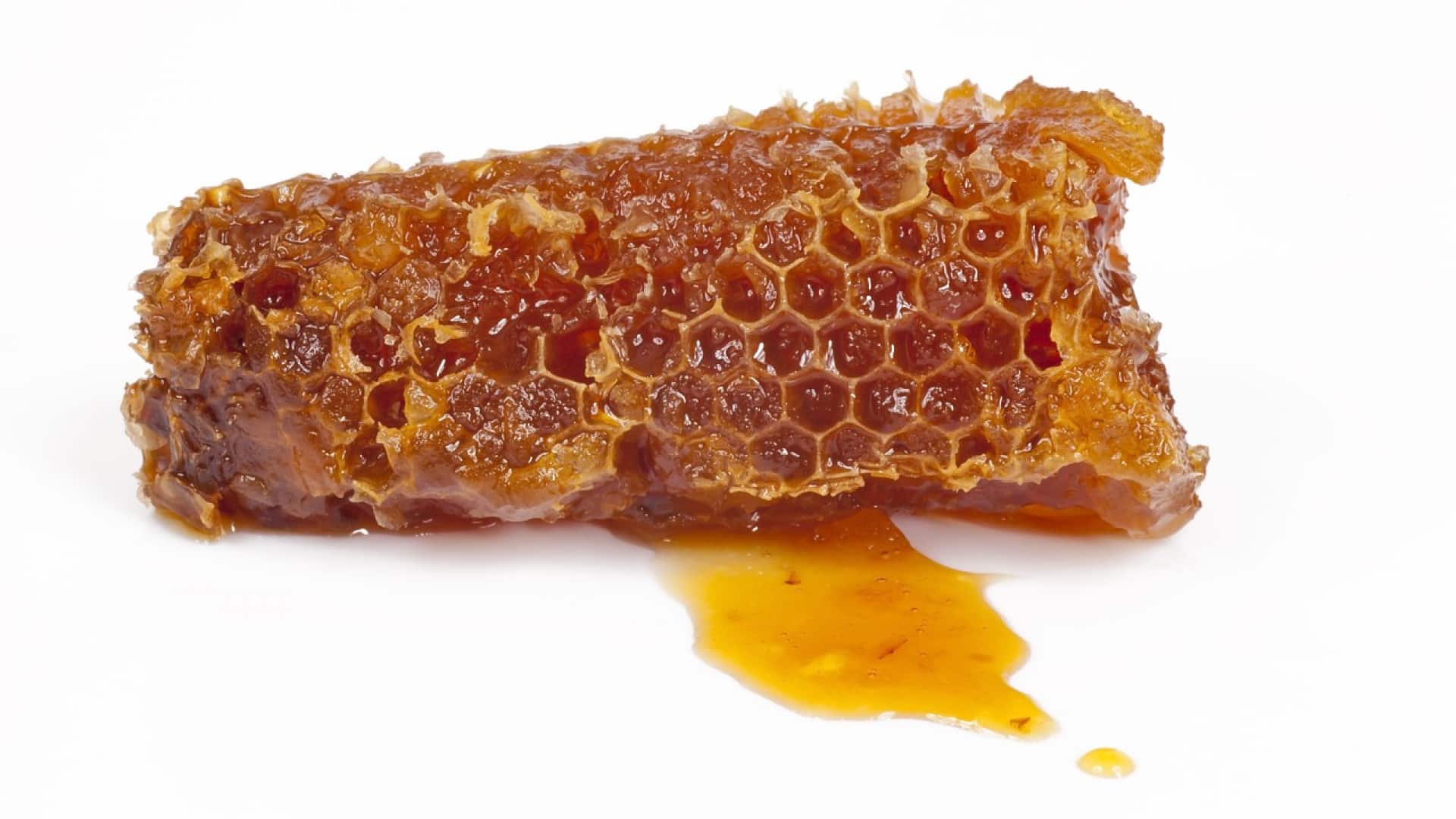 Quels sont les bienfaits de la propolis ?